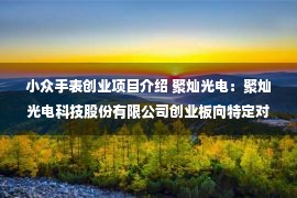 小众手表创业项目介绍 聚灿光电：聚灿光电科技股份有限公司创业板向特定对象发行A股股票募集说明书（修订稿）