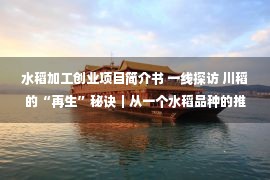 水稻加工创业项目简介书 一线探访 川稻的“再生”秘诀｜从一个水稻品种的推广到 “再生稻之乡”的转型