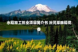 水稻加工创业项目简介书 汾河岸畔稻花香