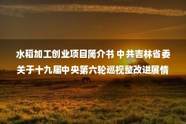 水稻加工创业项目简介书 中共吉林省委关于十九届中央第六轮巡视整改进展情况的通报