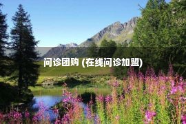 问诊团购 (在线问诊加盟)