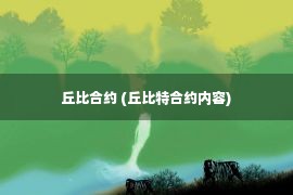 丘比合约 (丘比特合约内容)