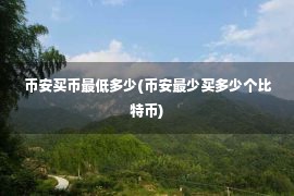 币安买币最低多少(币安最少买多少个比特币)