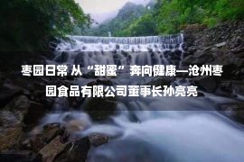 枣园日常 从“甜蜜”奔向健康—沧州枣园食品有限公司董事长孙亮亮