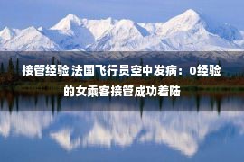 接管经验 法国飞行员空中发病：0经验的女乘客接管成功着陆