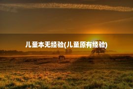 儿童本无经验(儿童原有经验)