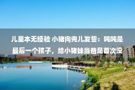 儿童本无经验 小猪向兜儿发誓：吨吨是最后一个孩子，给小猪妹当爸是首次没经验