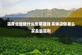 温度低能做什么生意赚钱 实体店做甚么买卖最赢利