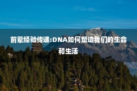 前辈经验传递:DNA如何塑造我们的生命和生活