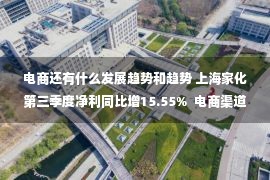 电商还有什么发展趋势和趋势 上海家化第三季度净利同比增15.55%  电商渠道收入回升趋势明显