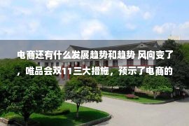 电商还有什么发展趋势和趋势 风向变了，唯品会双11三大措施，预示了电商的发展趋势