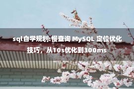 sql自学规划:慢查询 MySQL 定位优化技巧，从10s优化到300ms