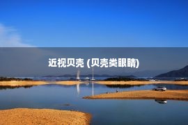 近视贝壳 (贝壳类眼睛)