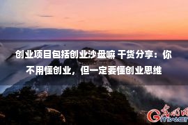 创业项目包括创业沙盘嘛 干货分享：你不用懂创业，但一定要懂创业思维