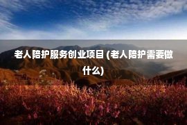 老人陪护服务创业项目 (老人陪护需要做什么)