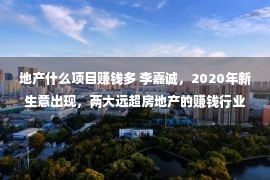 地产什么项目赚钱多 李嘉诚，2020年新生意出现，两大远超房地产的赚钱行业，翻身好机会