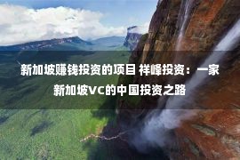 新加坡赚钱投资的项目 祥峰投资：一家新加坡VC的中国投资之路