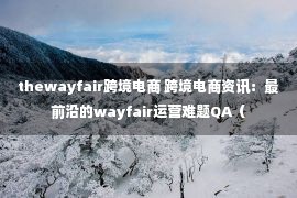 thewayfair跨境电商 跨境电商资讯：最前沿的wayfair运营难题QA（