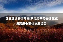 企业注册跨境电商 东莞局举办寄递企业与跨境电商供需座谈会