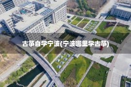 古筝自学宁波(宁波哪里学古筝)