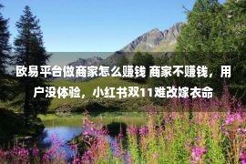 欧易平台做商家怎么赚钱 商家不赚钱，用户没体验，小红书双11难改嫁衣命