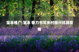 宝丰推广:宝丰 奋力书写乡村振兴优异答卷