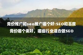 竞价推广和seo推广哪个好:SEO和百度竞价哪个更好，哪些行业适合做SEO