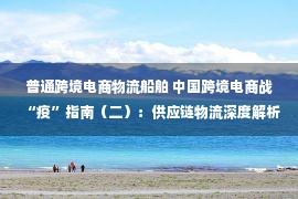 普通跨境电商物流船舶 中国跨境电商战“疫”指南（二）：供应链物流深度解析