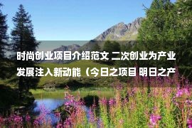 时尚创业项目介绍范文 二次创业为产业发展注入新动能（今日之项目 明日之产业·项目探营记）