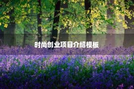 时尚创业项目介绍模板 