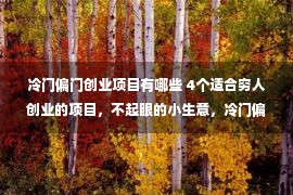 冷门偏门创业项目有哪些 4个适合穷人创业的项目，不起眼的小生意，冷门偏门其实很暴利