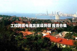 工控跨境电商发展趋势图 报告合集