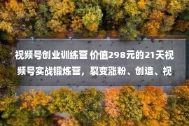 视频号创业训练营 价值298元的21天视频号实战锻炼营，裂变涨粉、创造、视频号变现