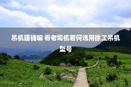 吊机赚钱嘛 看老司机若何选用徐工吊机型号