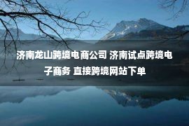 济南龙山跨境电商公司 济南试点跨境电子商务 直接跨境网站下单