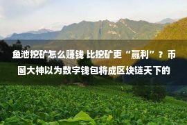 鱼池挖矿怎么赚钱 比挖矿更“赢利”？币圈大神以为数字钱包将成区块链天下的流量出口