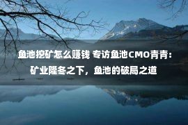 鱼池挖矿怎么赚钱 专访鱼池CMO青青：矿业隆冬之下，鱼池的破局之道