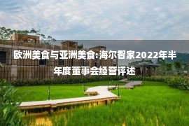 欧洲美食与亚洲美食:海尔智家2022年半年度董事会经营评述