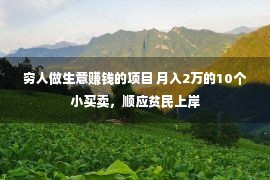 穷人做生意赚钱的项目 月入2万的10个小买卖，顺应贫民上岸