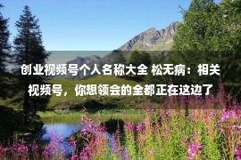 创业视频号个人名称大全 松无病：相关视频号，你想领会的全都正在这边了