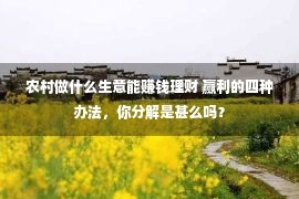 农村做什么生意能赚钱理财 赢利的四种办法，你分解是甚么吗？