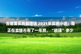 去哪里买房最赚钱 2021年买房小说：我正在直辖市看了一年房，“躺赚”多少十万