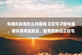 电商批发商怎么样赚钱 正在屯子做电商，若何用淘宝致富，新思路助你正在屯子乐成！