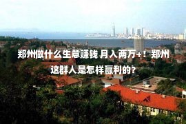 郑州做什么生意赚钱 月入两万+！郑州这群人是怎样赢利的？