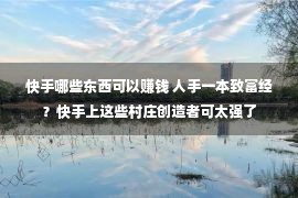 快手哪些东西可以赚钱 人手一本致富经？快手上这些村庄创造者可太强了