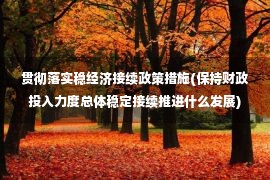 贯彻落实稳经济接续政策措施(保持财政投入力度总体稳定接续推进什么发展)