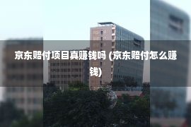 京东赔付项目真赚钱吗 (京东赔付怎么赚钱)