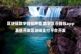 区块链数字钱包种类 数字货币钱包app系统开发区块链支付平台开发