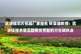 区块链芯片机箱厂家排名 张首晟教授：区块链技术是互联网世界新的分合转折点