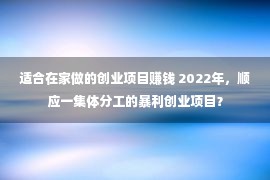 适合在家做的创业项目赚钱 2022年，顺应一集体分工的暴利创业项目？